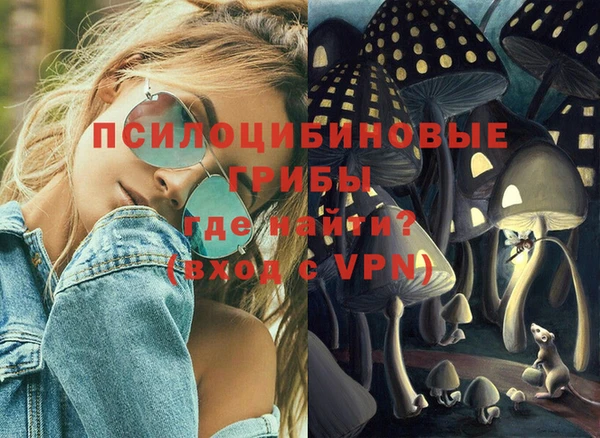 спиды Заводоуковск